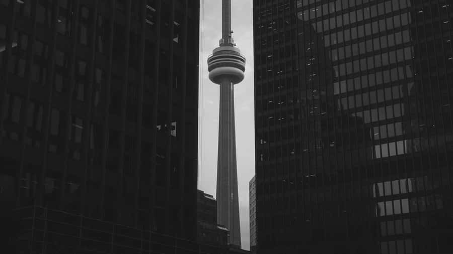 The image depicts a tall observation tower surrounded by modern skyscrapers in a black and white monochrome style.