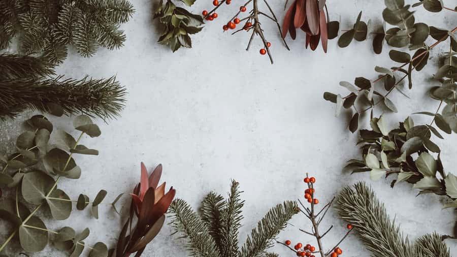 Flatlay of winter greenery, red berries, and hands arranging holiday decorations